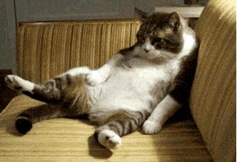 美签可以退费吗,美签可以拒签几次