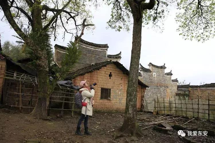 永州东安横塘周家大院,东安横塘周家大院