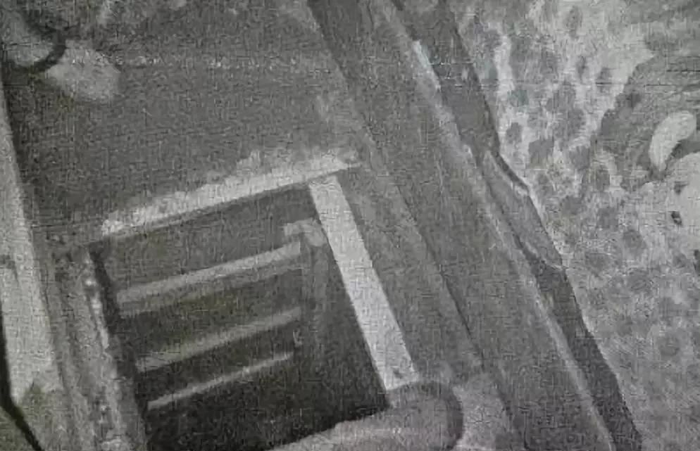 那些暗网中被拍卖的*奴性**，是如何上钩的