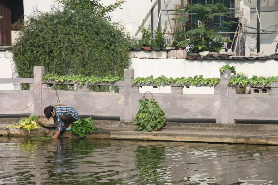 诸暨方言和其他方言比较,诸暨话方言美女