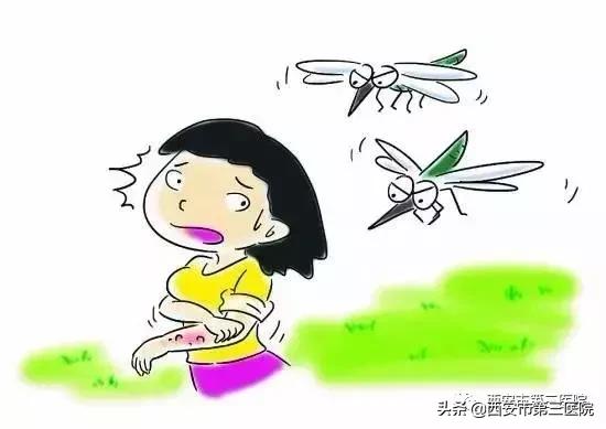 虫咬性皮炎很痒怎么治疗小偏方,恼人的皮炎怎么治