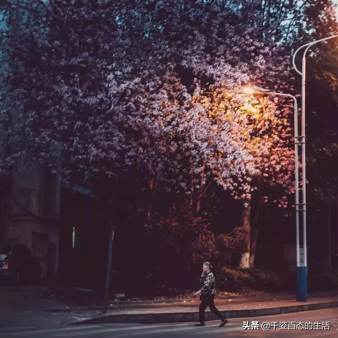 广西低调小城竟然藏了个小奈良,广西有座低调的养老小城