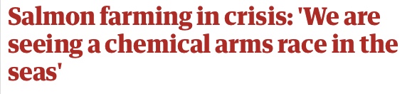 曾标榜健康的进口海鲜，幕后养殖曝光，堪比垃圾食品（菲李漫画）