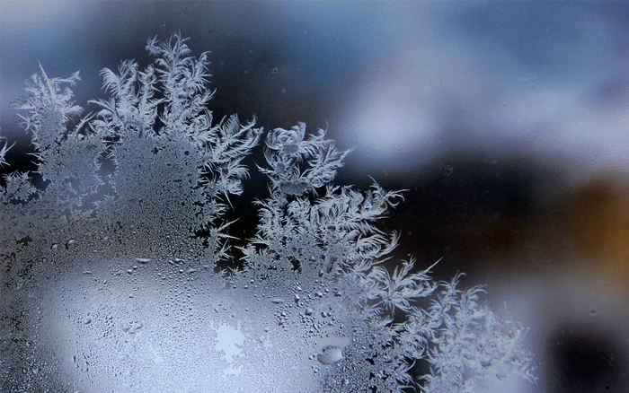 悲情电影小丑,莱昂卡瓦洛丑角