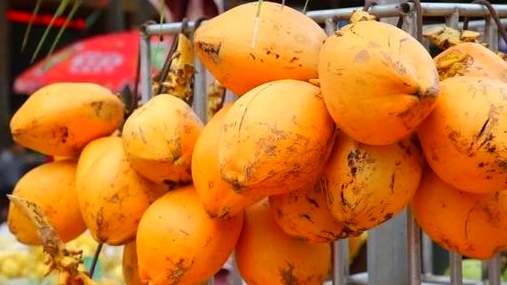 海南有哪些热带水果推荐,带你了解海南热带水果