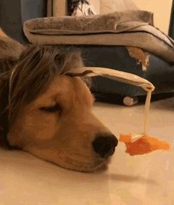 右眼皮跳右耳热吉凶,左右眼皮连续跳24小时吉凶预兆