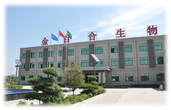 微生物小知识,乳酸菌是什么微生物