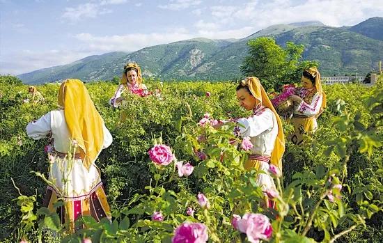 丹泽欧雅,丹泽欧雅富勒烯多肽焕颜面膜