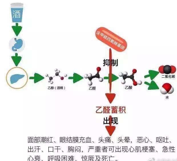 服药期间是不是不能喝酒,吃完头孢甲硝唑几小时能喝酒