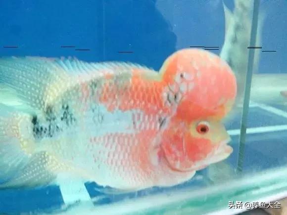 怎么快速让罗汉出状态,18罗汉最简单的复原方法