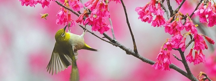 人教版中考成语题库,人教版初中语文成语选择题及答案