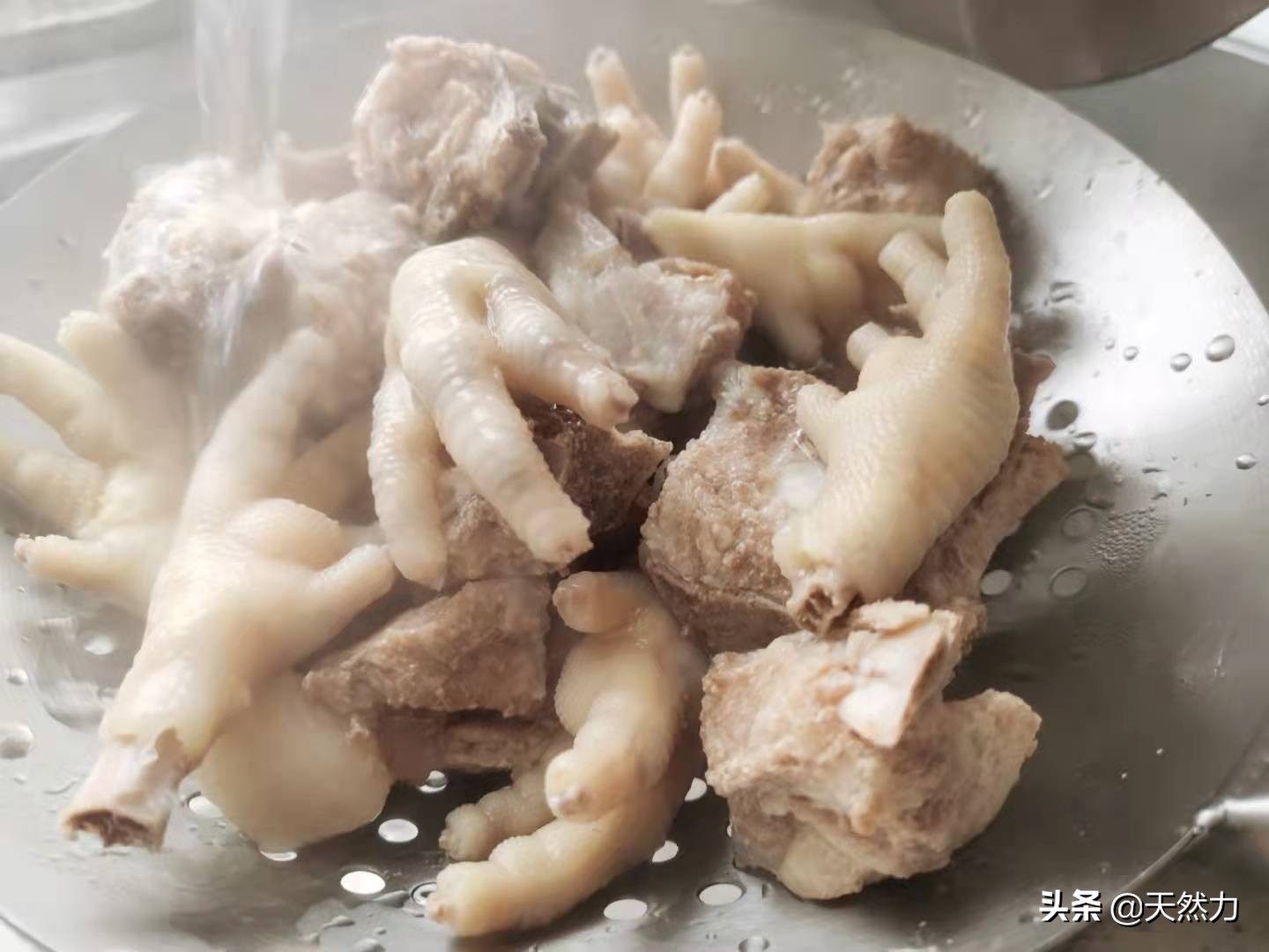 广东板栗骨头汤的做法,排骨靓汤家常煲汤大全
