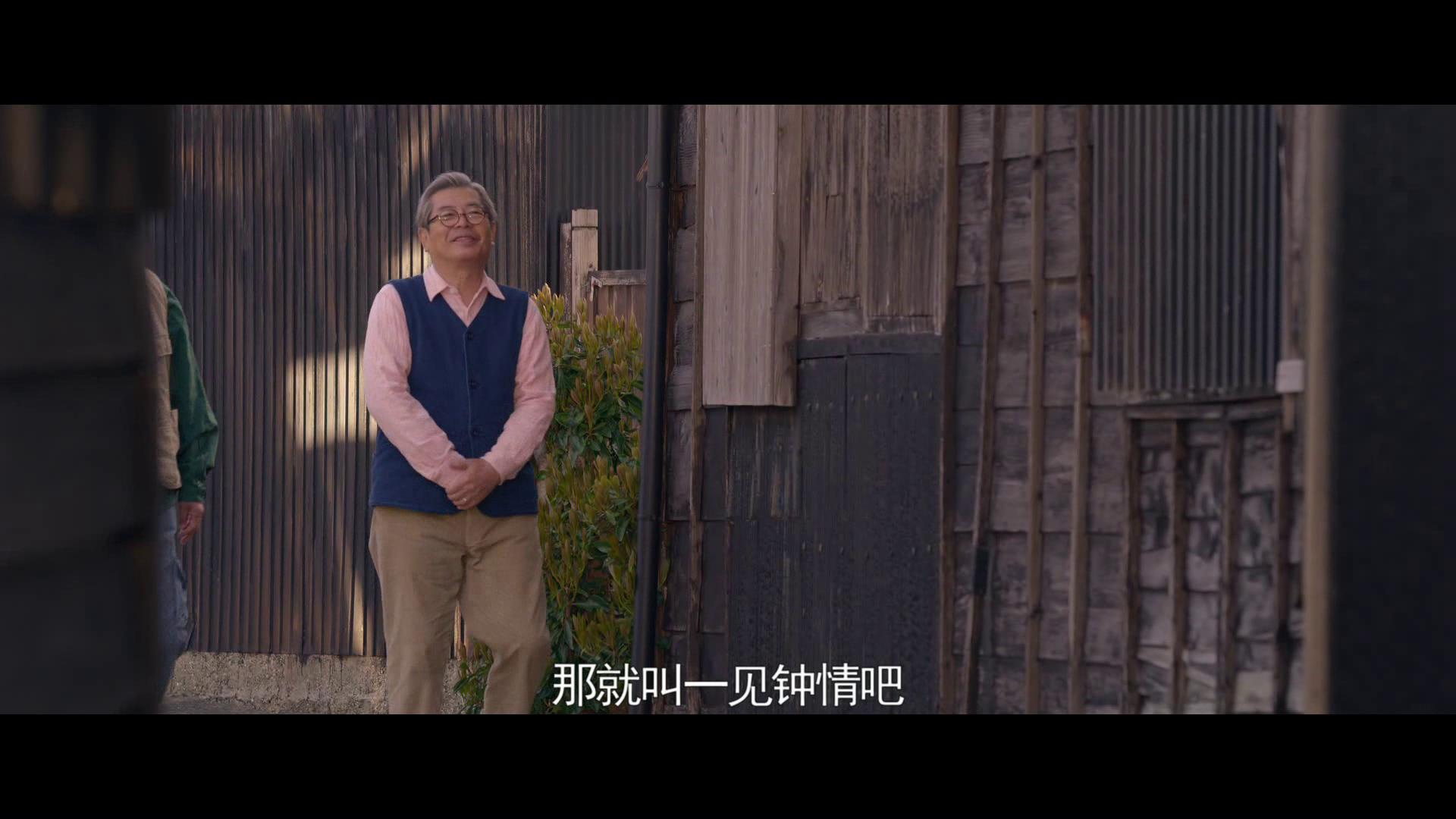 十部顶级治愈系猫片,十部顶级治愈猫的电影