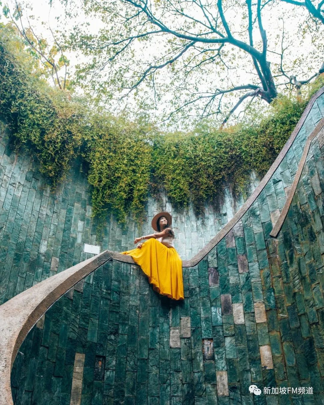 新加坡网红拍照店,新加坡网红点如何拍照