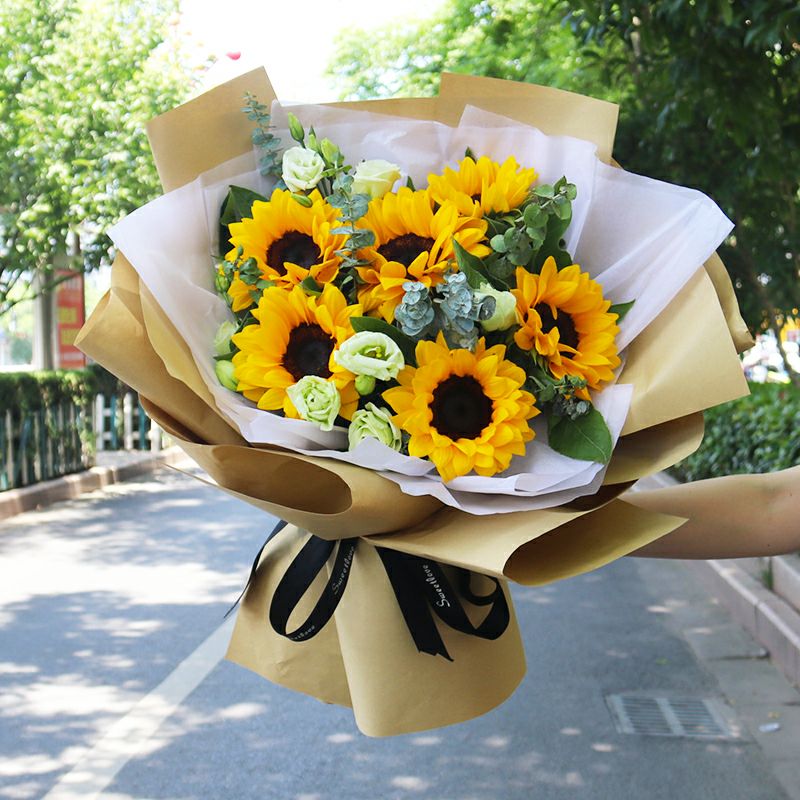 向日葵户外盆栽怎么养活,向日葵养殖小诀窍