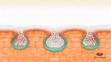 徐静蕾公开叫板“比范冰冰好看”!近46岁依然风韵犹存,皮肤真好