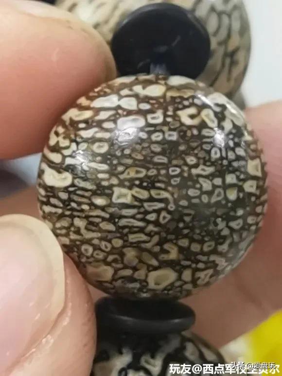 恐龙蛋化石手串,带恐龙化石手串