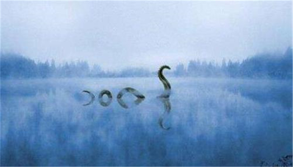 青海湖水怪最新报道,青海湖里湖怪是何物