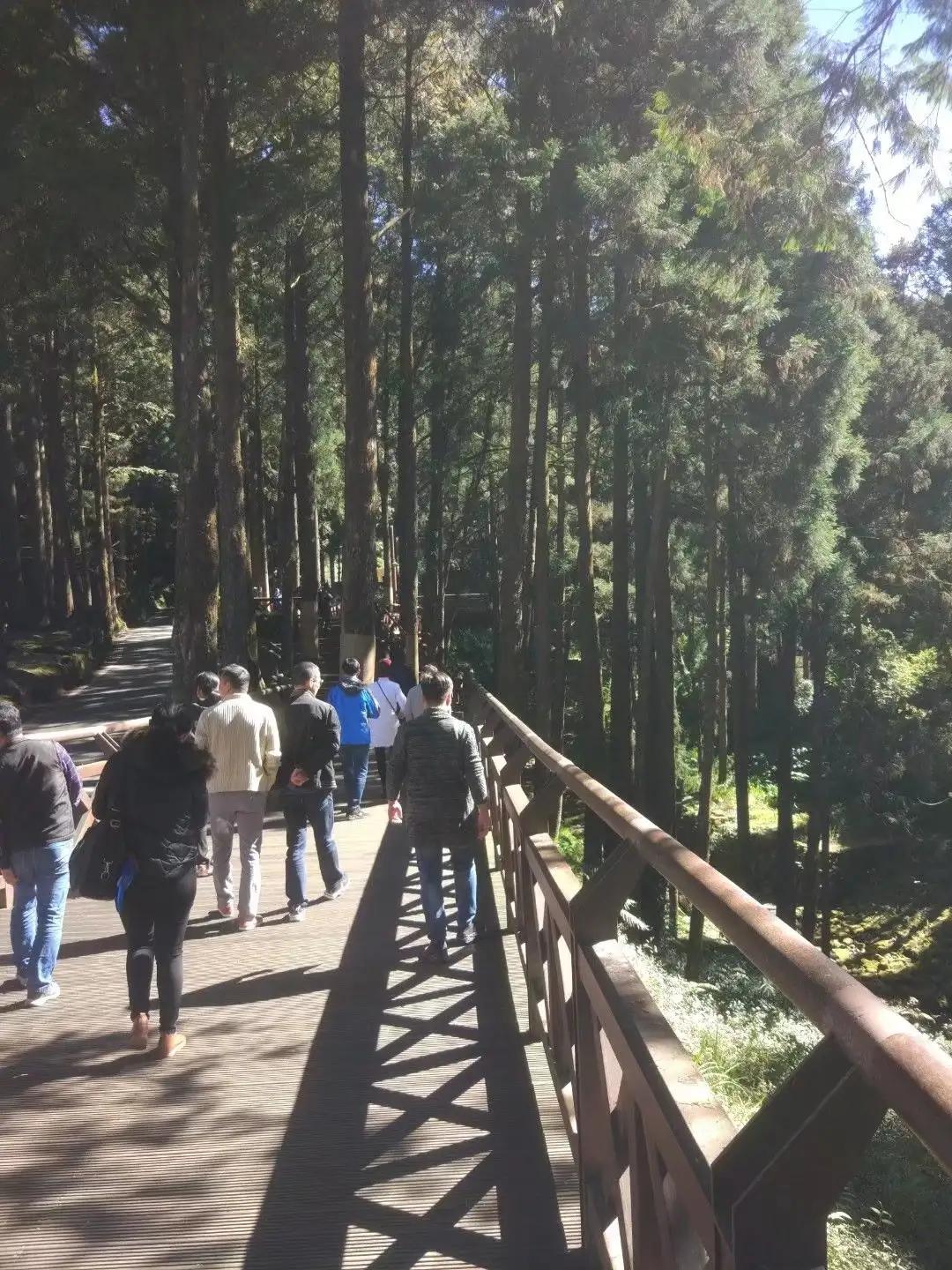 徐州醉美阿里山,醉美阿里山和金帝豪
