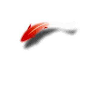 皮肤不好但不知道哪里不好,皮肤不好但不知道是哪种问题