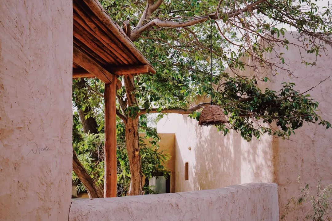 可盐可甜是哪首歌的歌词,可盐可甜出自哪