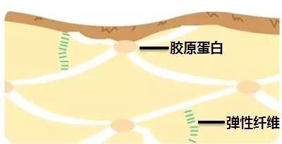 脸上干纹细纹多怎么办,怎样改善脸上的干纹和细纹