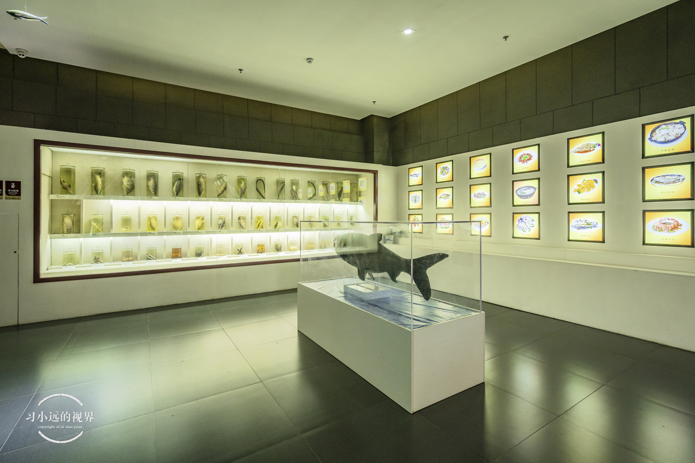 合肥万佛湖二日游攻略,合肥市区旅游攻略一日游