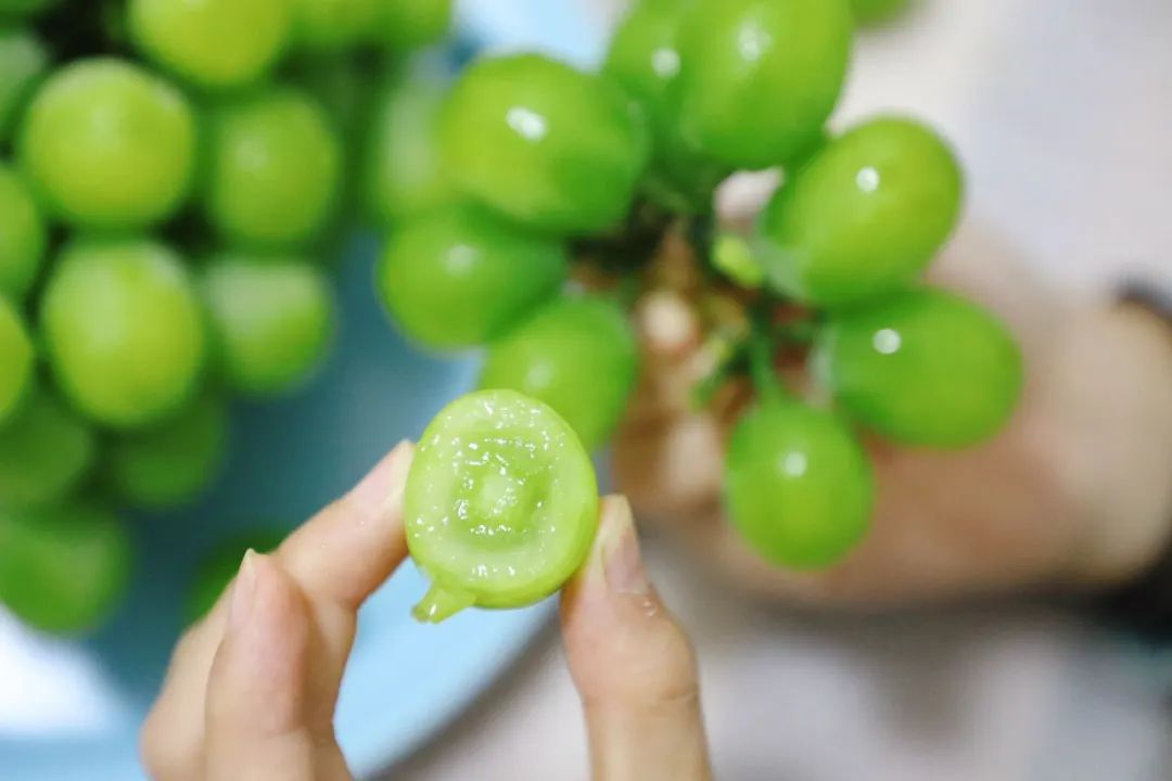 葡萄界的爱马仕晴王,葡萄界中的爱马仕跌落