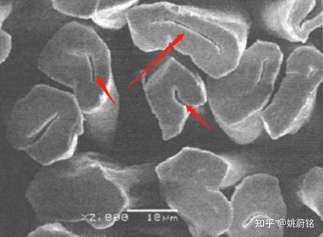 男士休闲裤选择技巧,男士休闲裤上手的感受