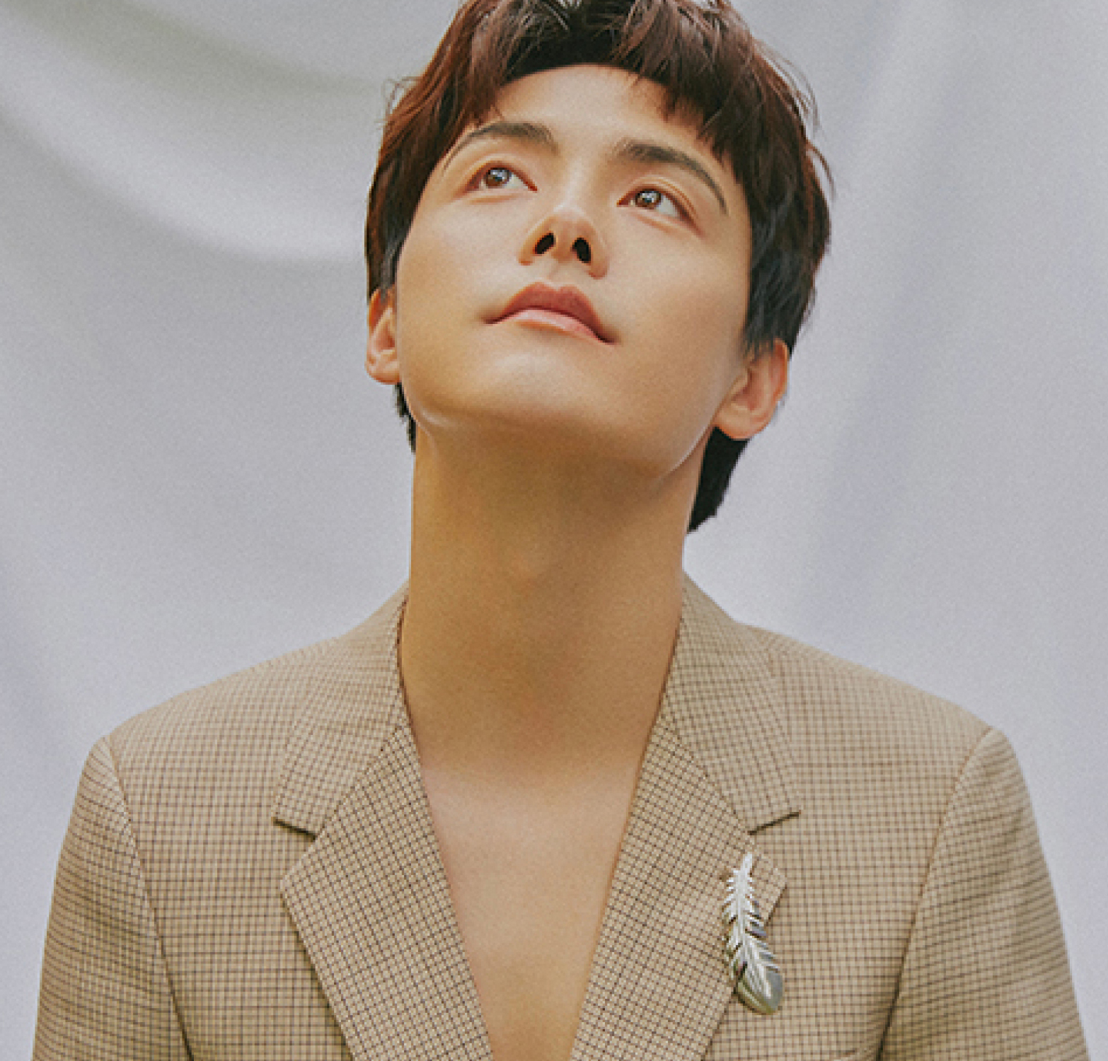 马天宇戴的戒指,马天宇羽毛胸针