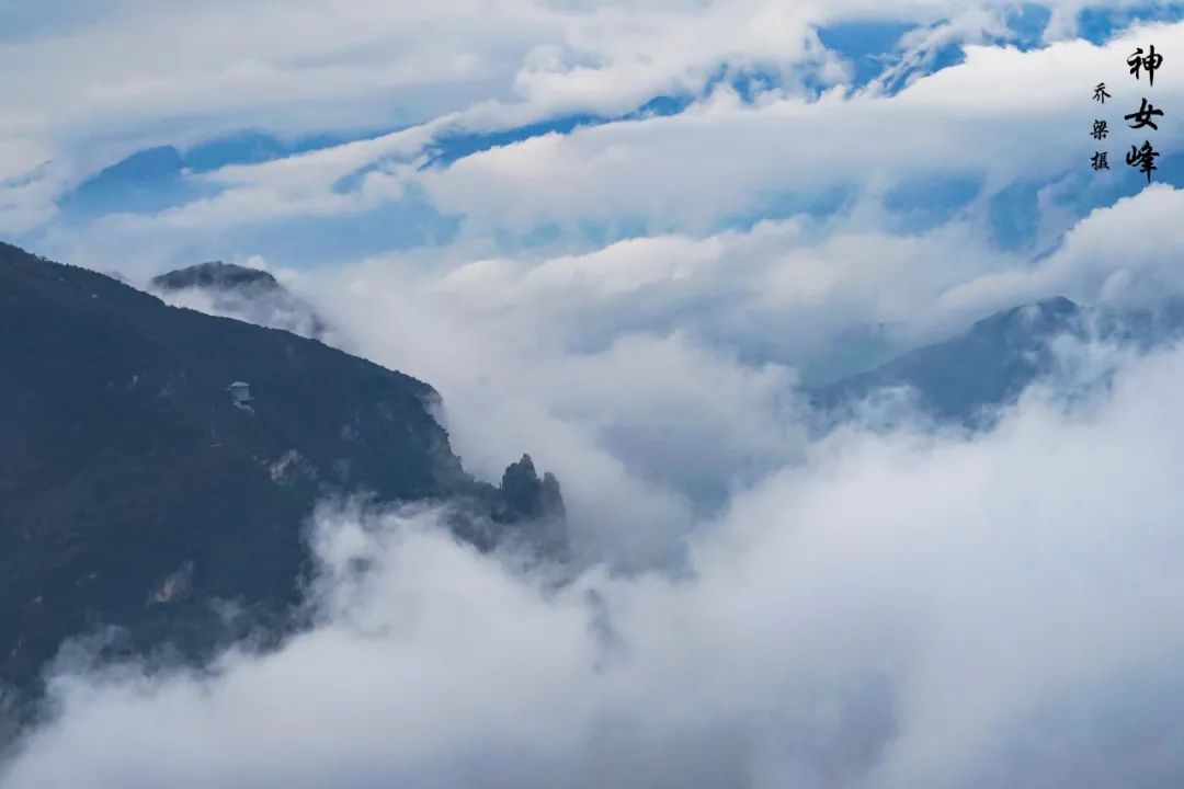 巫山红叶全攻略,巫山红叶2020