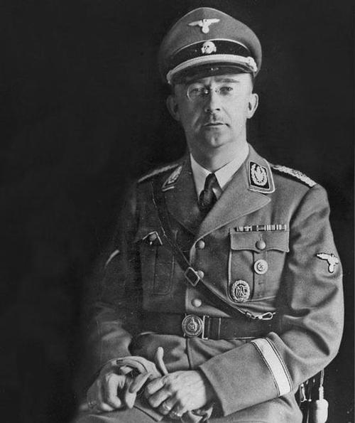 恐怖的纳粹*党**卫军和秘密警察