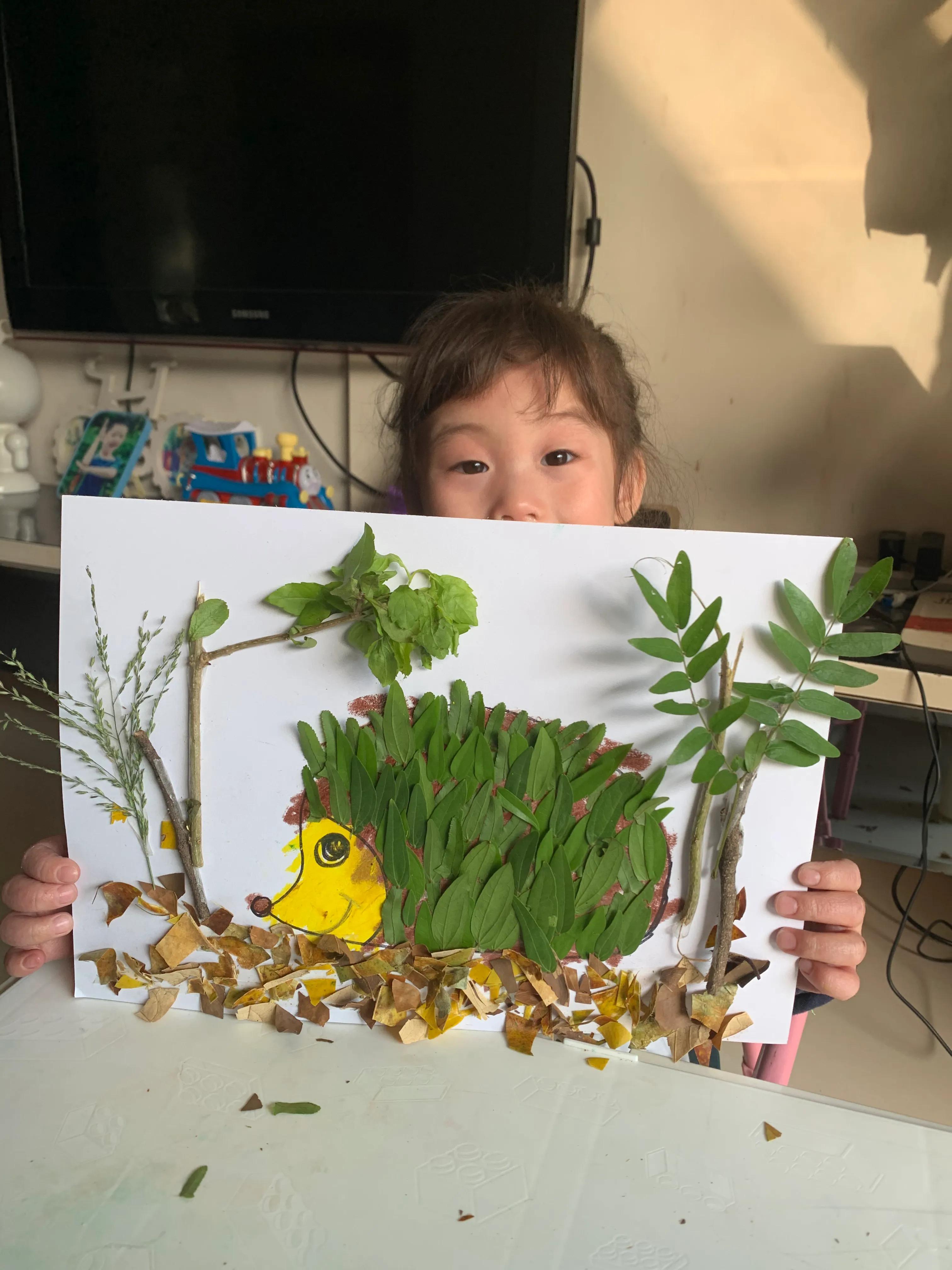 用树叶和花朵做一幅美丽的画,用银杏树叶做一幅简单漂亮的画