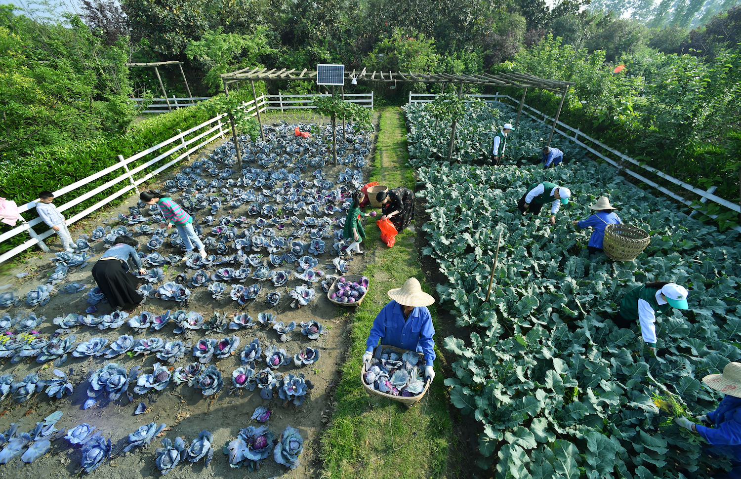 四川蓝剑饮品集团上市,四川蓝剑饮品集团营业额