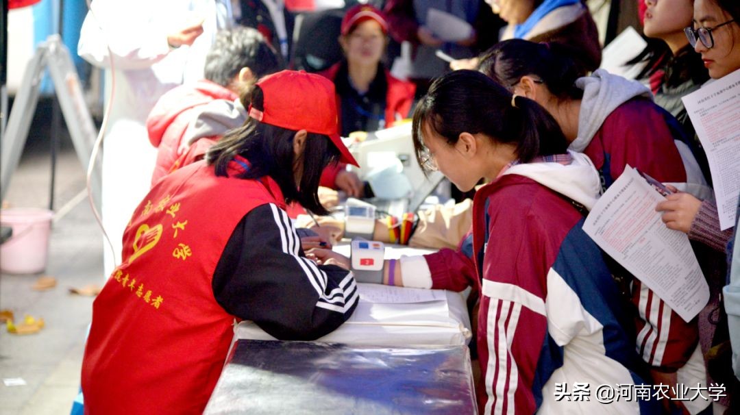 大爱丨228150毫升！农大人的热血让这个冬日温暖如春