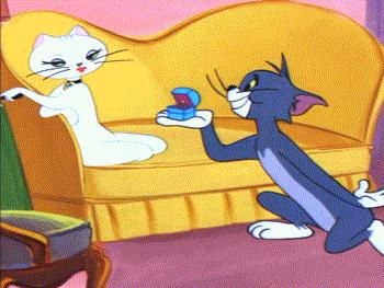 猫和老鼠以前的汤姆和以后的汤姆,猫和老鼠有多少人喜欢汤姆