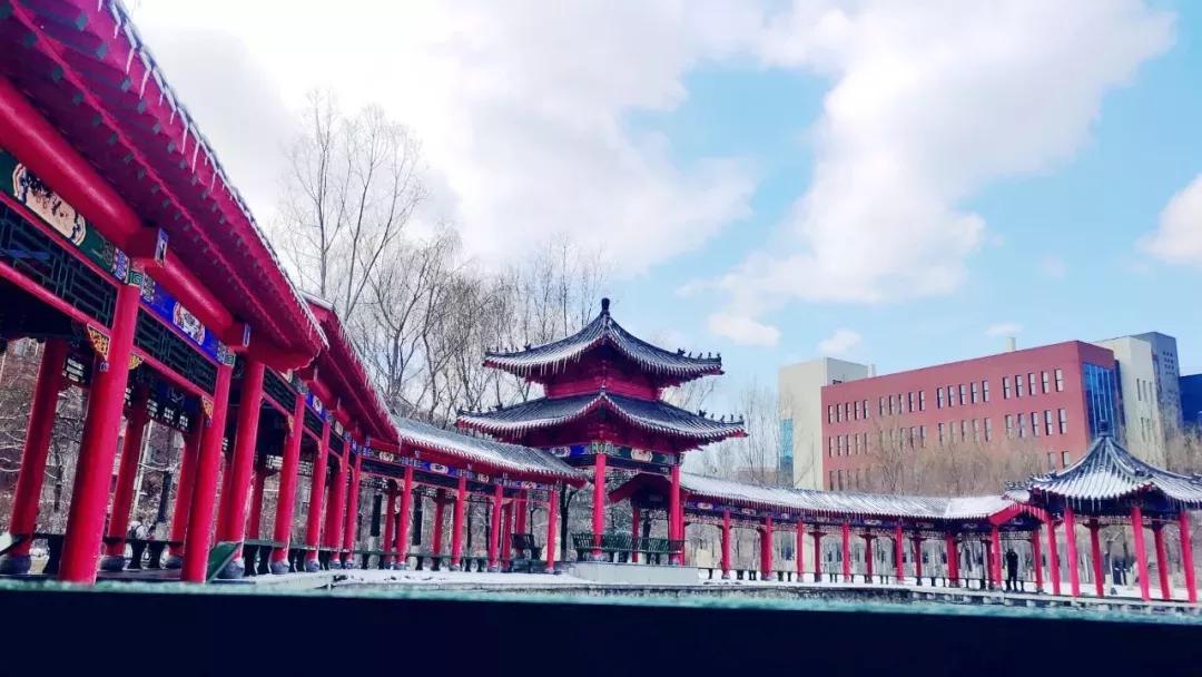 辽宁中医药大学杏林学院规模,辽宁中医学院杏林学院的排名