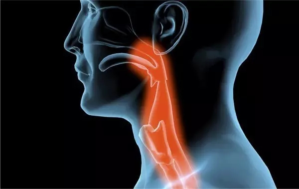 精油的10种香薰装备-优缺点比较大全