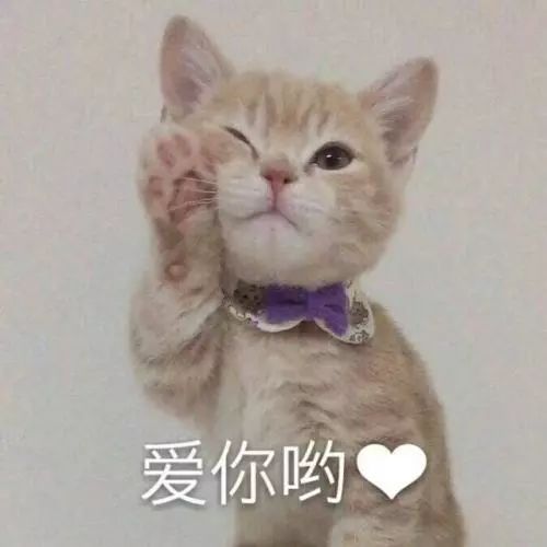 百元店好物分享,百元的精品好物