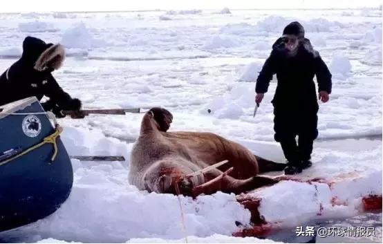 世界第一岛格陵兰岛属于哪个国家,格陵兰岛是世界上第二大岛屿吗