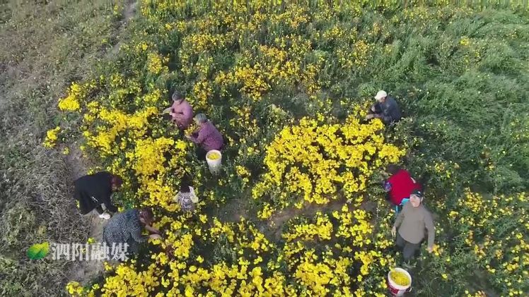 2019年泗阳县重点民生工程,农村重点民生实事