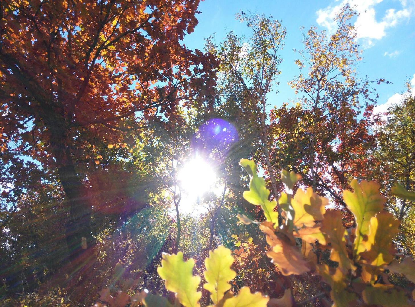 内蒙呼和浩特市内游,五一内蒙古呼和浩特及周边游