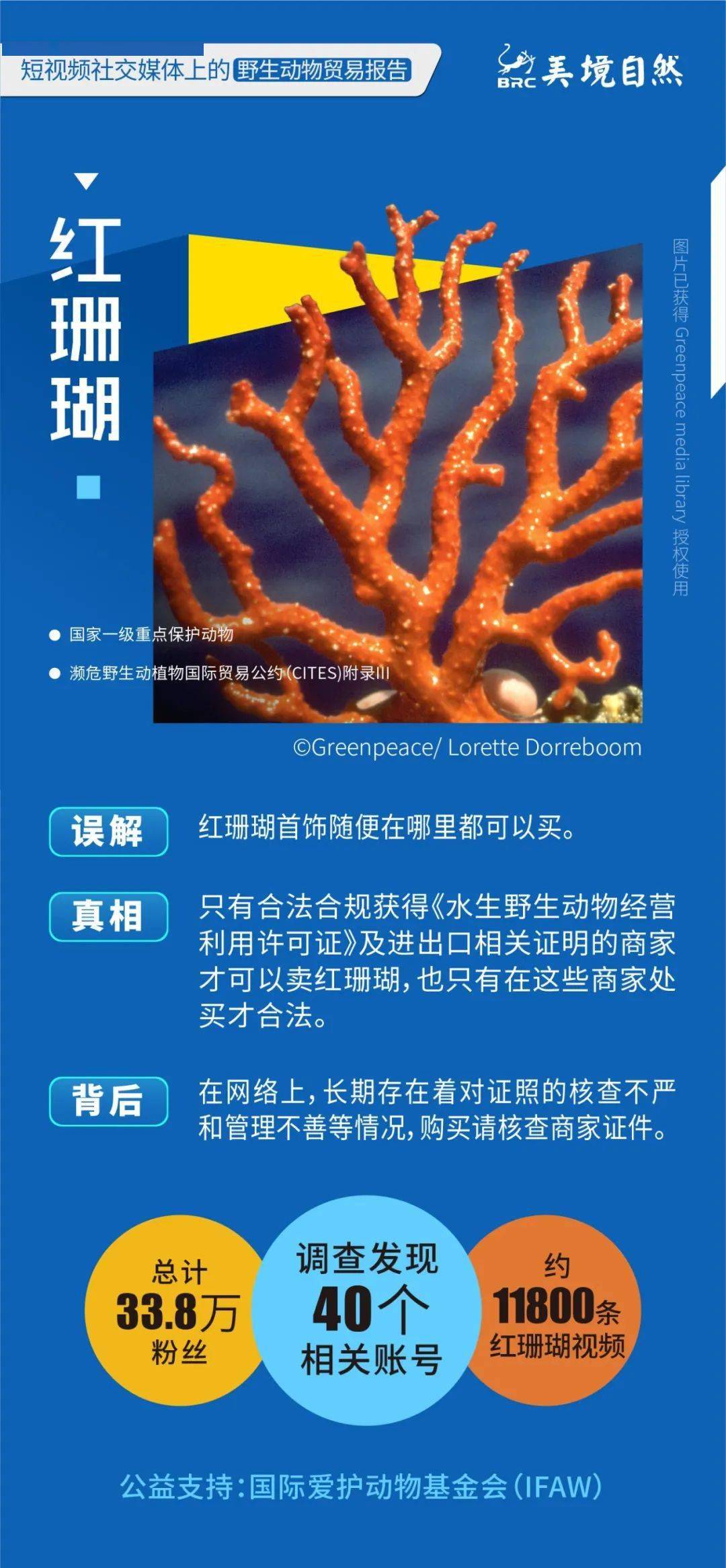 短视频以及电商生态研究报告,短视频与直播电商行业调研报告