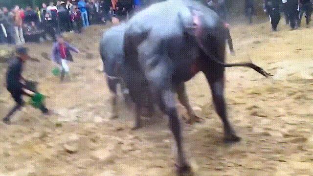 阿努纳奇创造人类7次文明,阿努纳奇人类起源