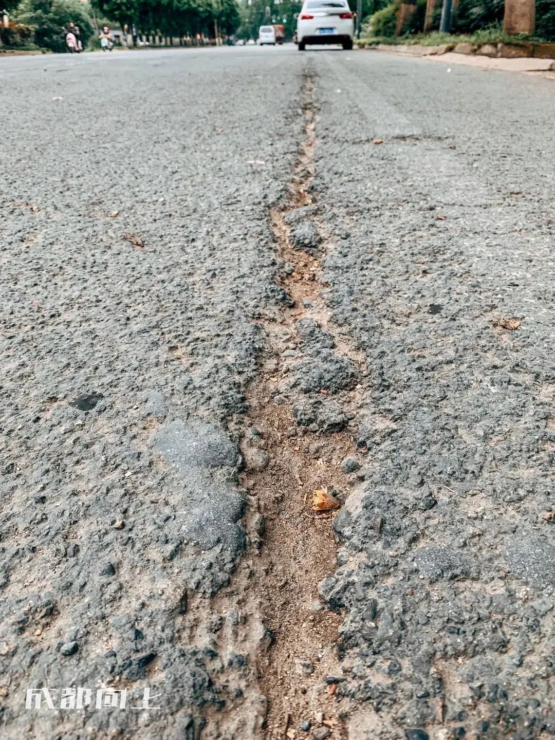 新繁今日现状,新繁最近事件