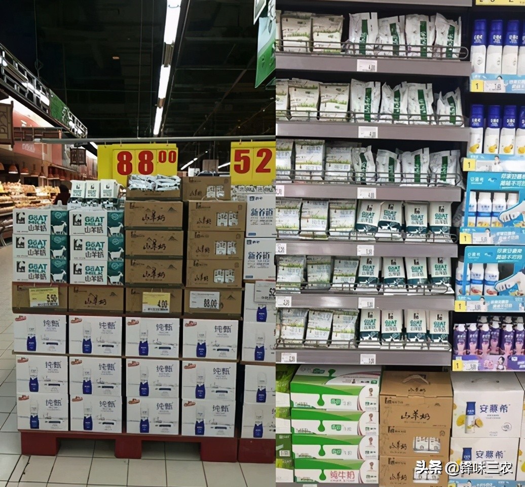 探秘山东最大羊奶厂！羊奶到底有没有膻味？