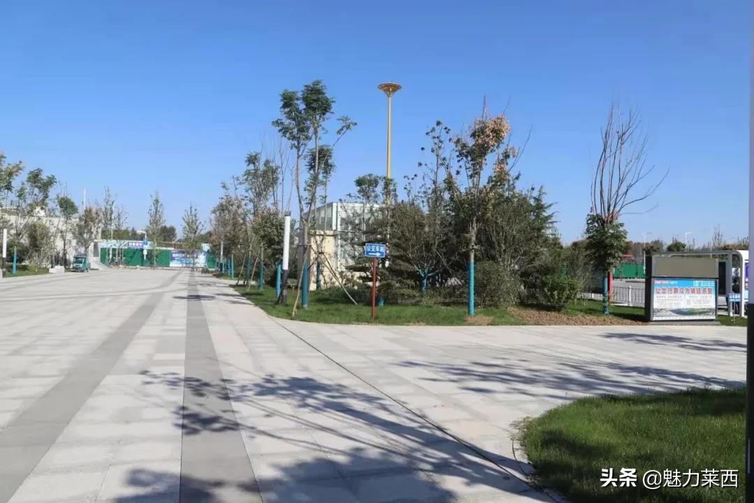 莱西路口抓拍,莱西动车站抓拍