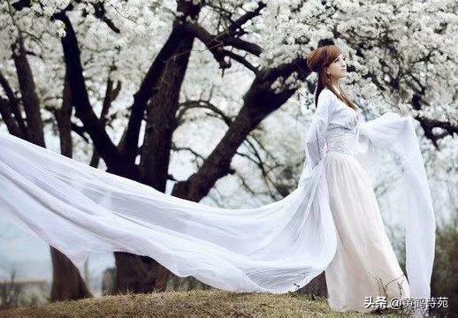 梧桐《喝火令》18首：香起白裙飘逸，邀请对下句？