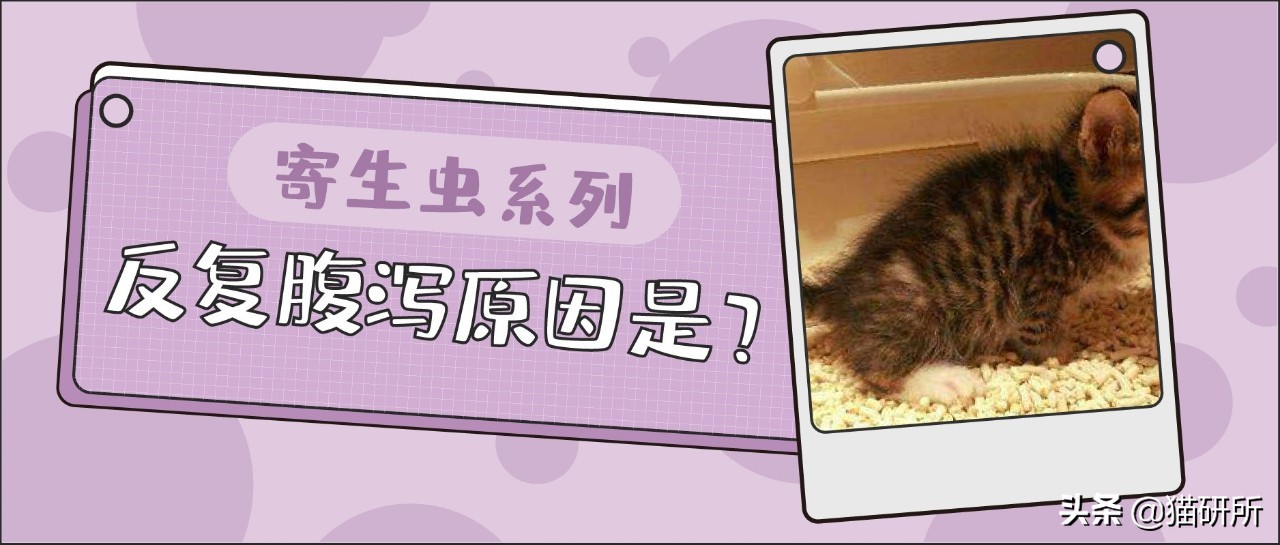 腹泻十几次最快的治疗方法,腹泻有五年应该怎样治疗