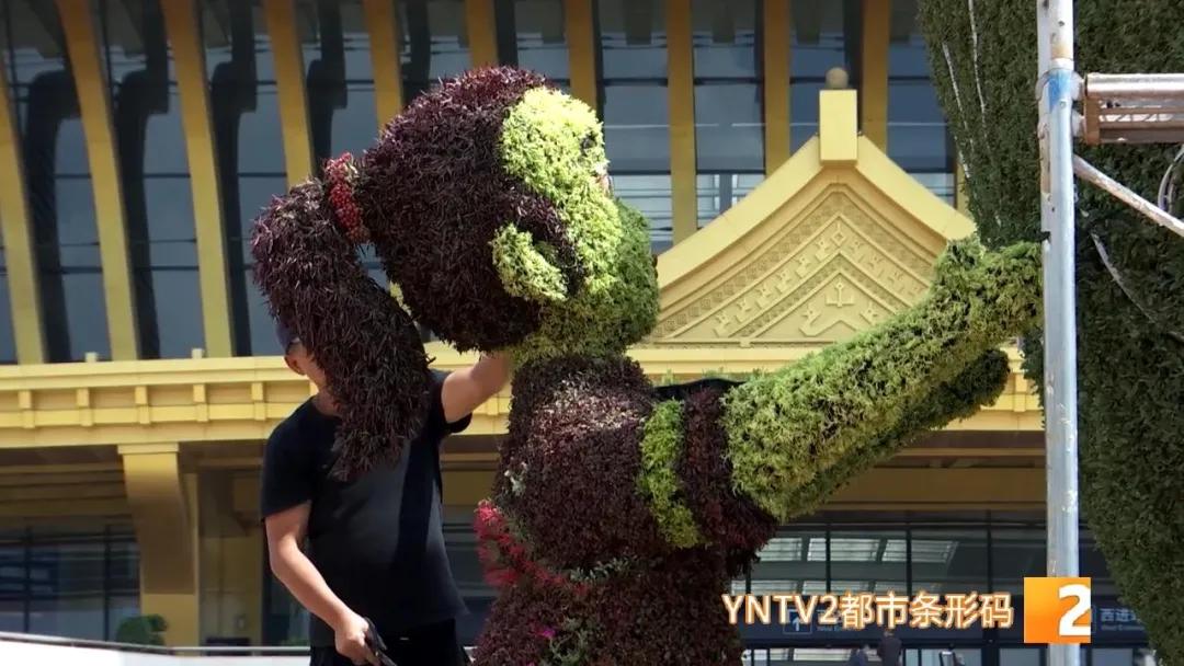 昆明100个立体花坛位置,昆明cop15立体花坛